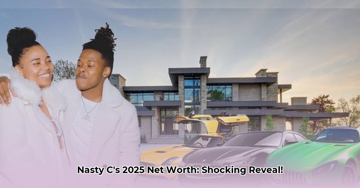 nasty-c-net-worth